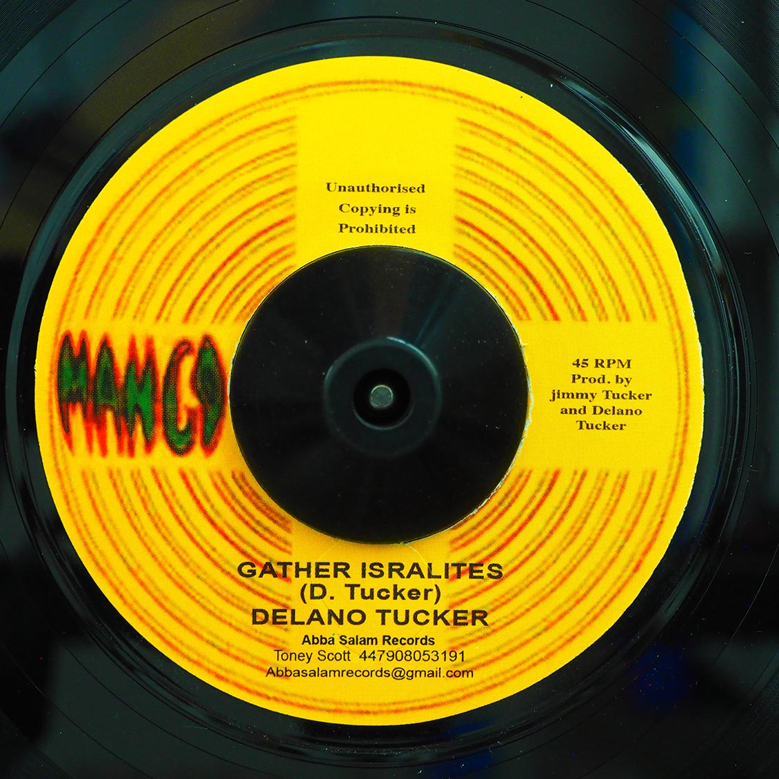 Delano Tucker Gather Israelites  /  Gathering Dub