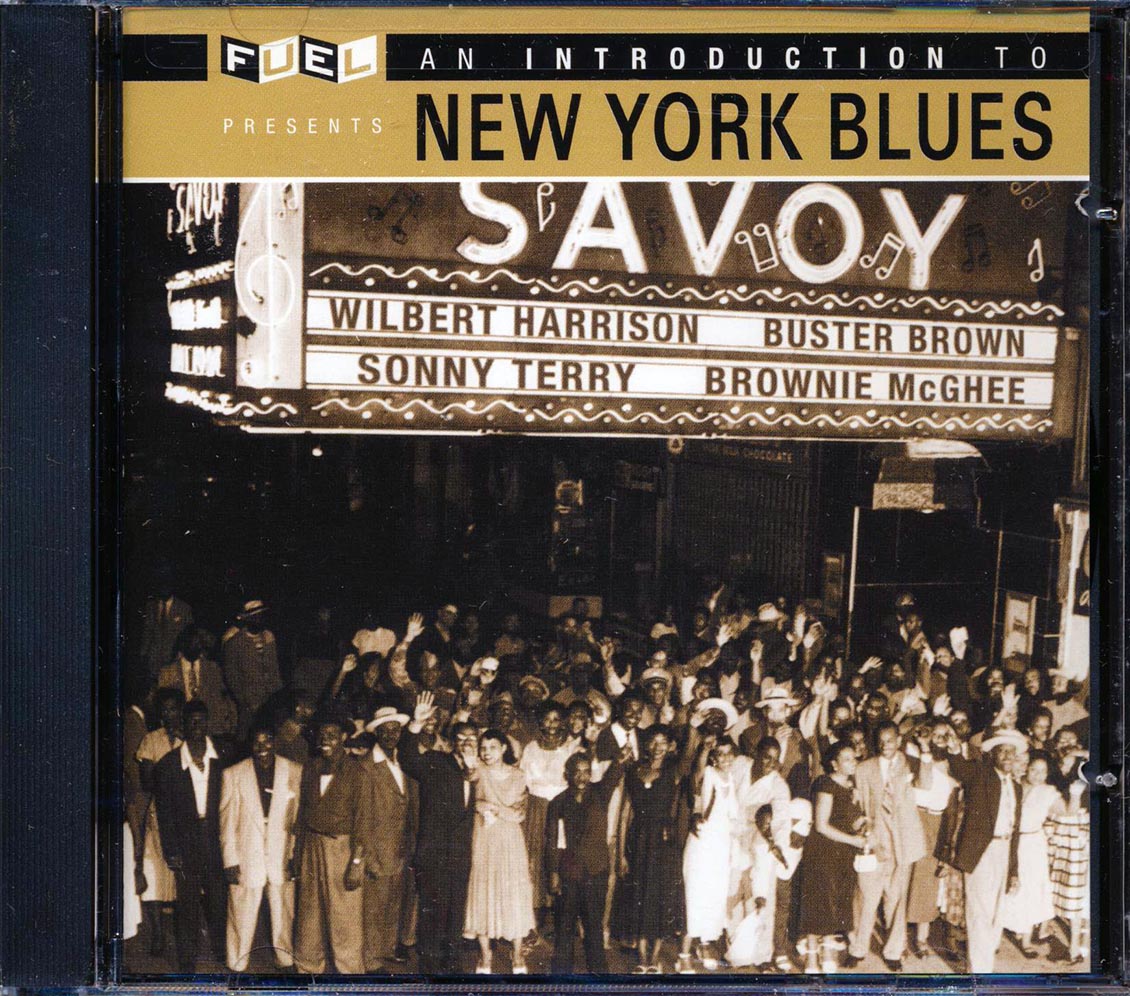 Buster Brown, Billy Lewis, Titus Tee Turner, Etc. - An Introduction To New York Blues