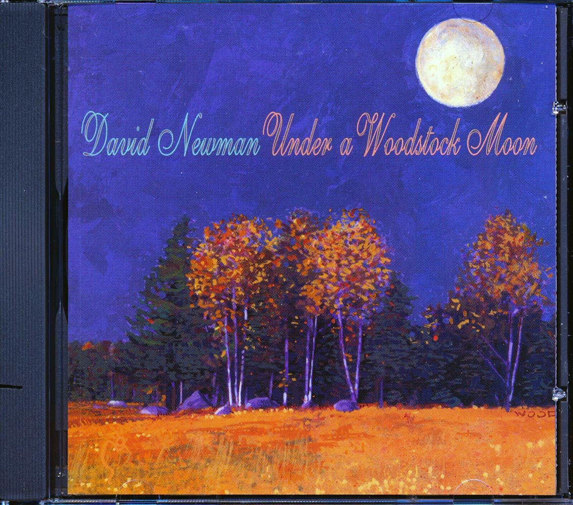 David Newman - Under A Woodstock Moon