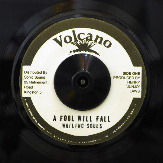 Wailing Souls A Fool Will Fall  /  The Roots Radics - Version