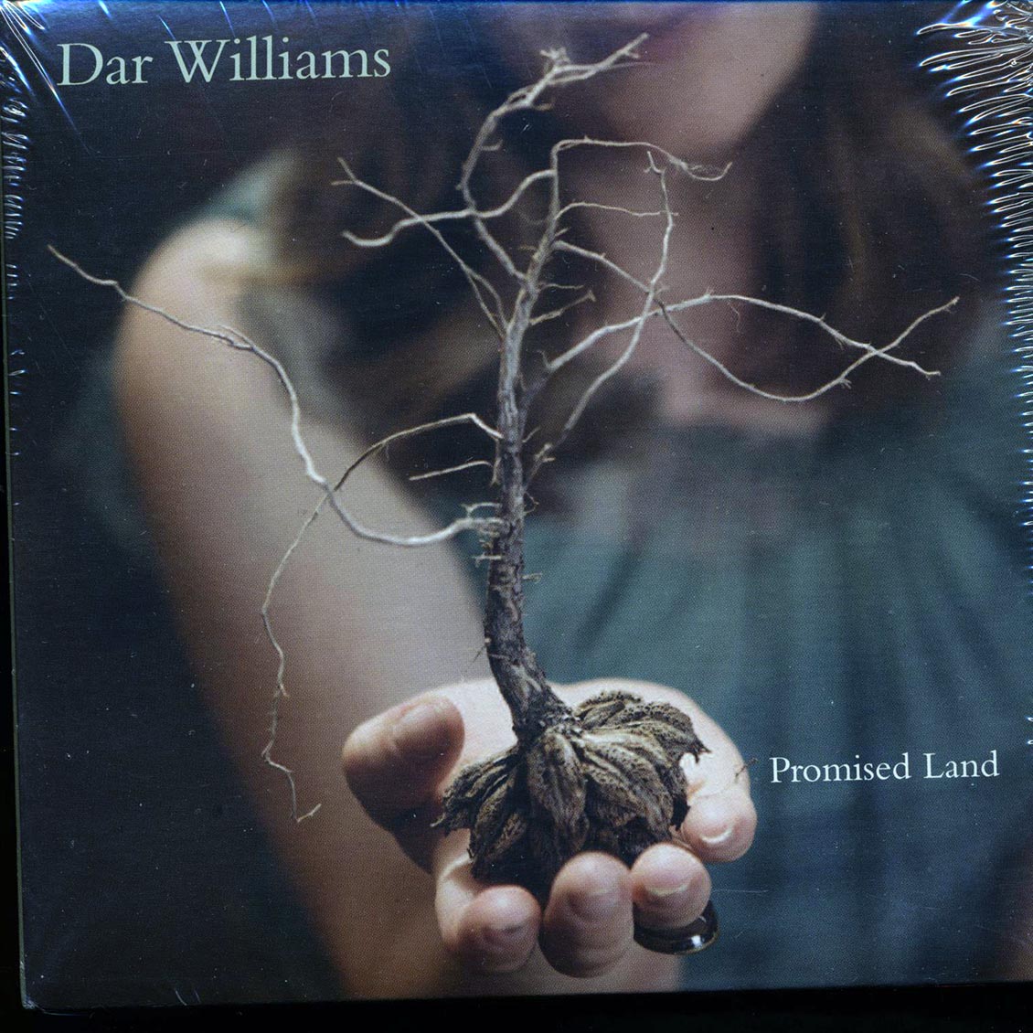 Dar Williams - Promised Land (deluxe mini-LP slipsleeve edition)