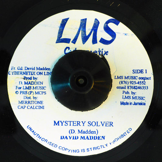 David Madden Mystery Solver  /  David Madden - Fly Away Home