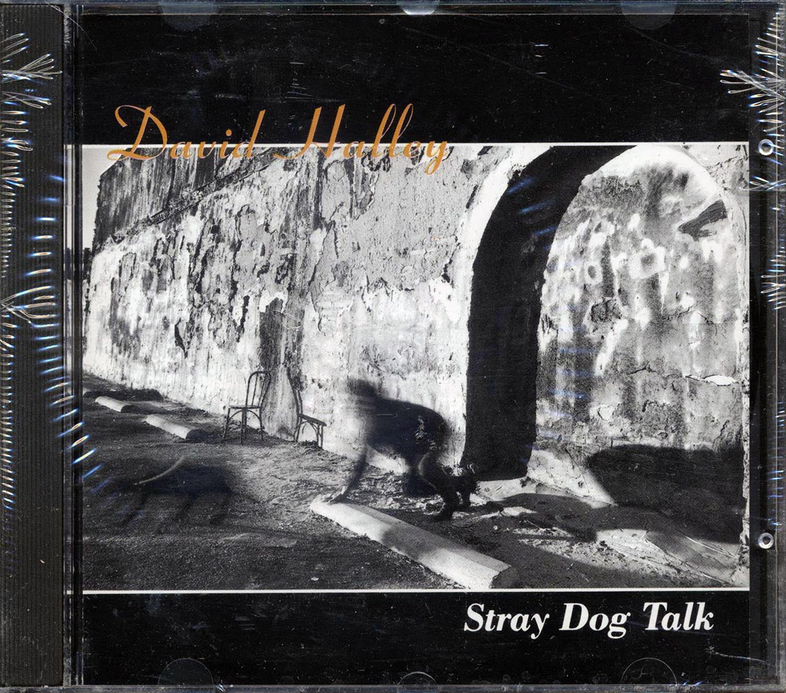 David Halley - Stray Dog Talk